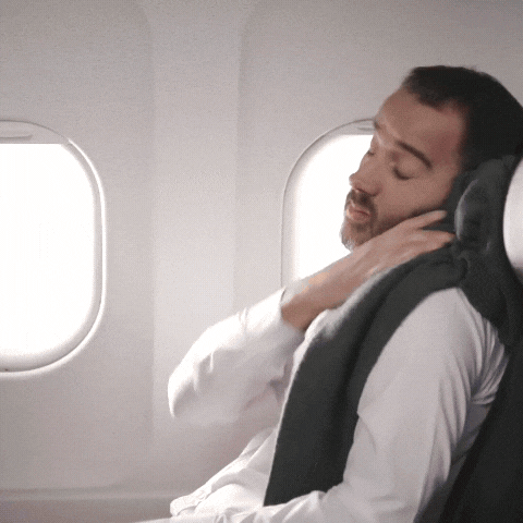 Butterfly Travel Neck Pillow